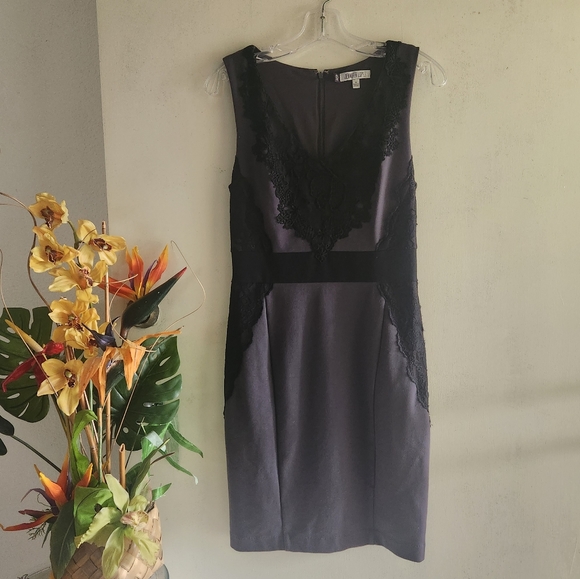 Jennifer Lopez Black Lace V-Neck Sleeveless Size 4 EUC Gray Dress - Picture 13 of 13